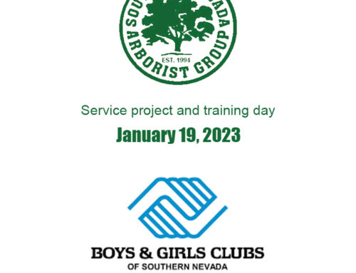 Service Project to help the Boys & Girls Club January 19th
